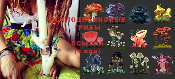 кокс Алексин