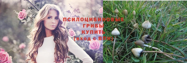 таблы Алзамай