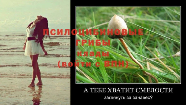 индика Алексеевка