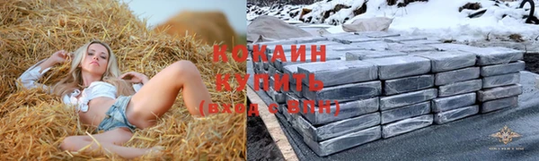 кокс Алексин