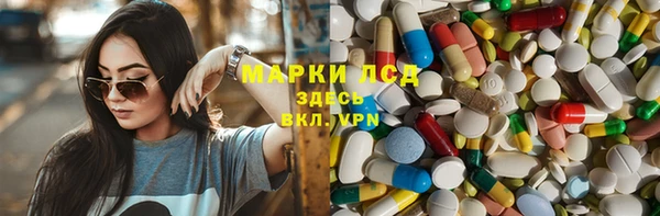 кокс Алексин