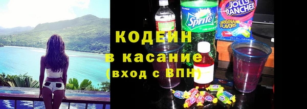 индика Алексеевка