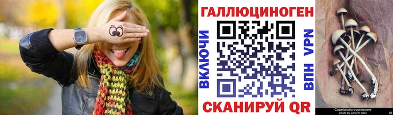 Псилоцибиновые грибы Cubensis  Анива 